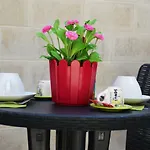 San Domenico B&B
