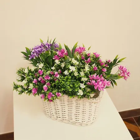 Bed & Breakfast San Domenico 3*