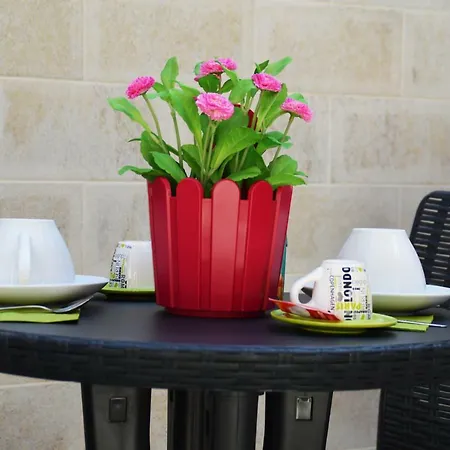 San Domenico Bed & Breakfast